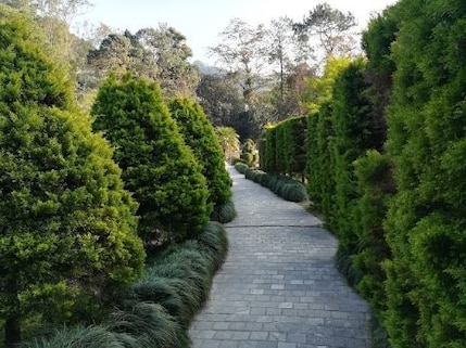 Picnicking at Saramsa Garden